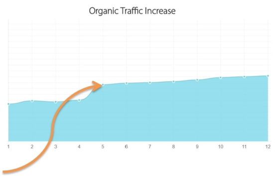 Organic traffic increase