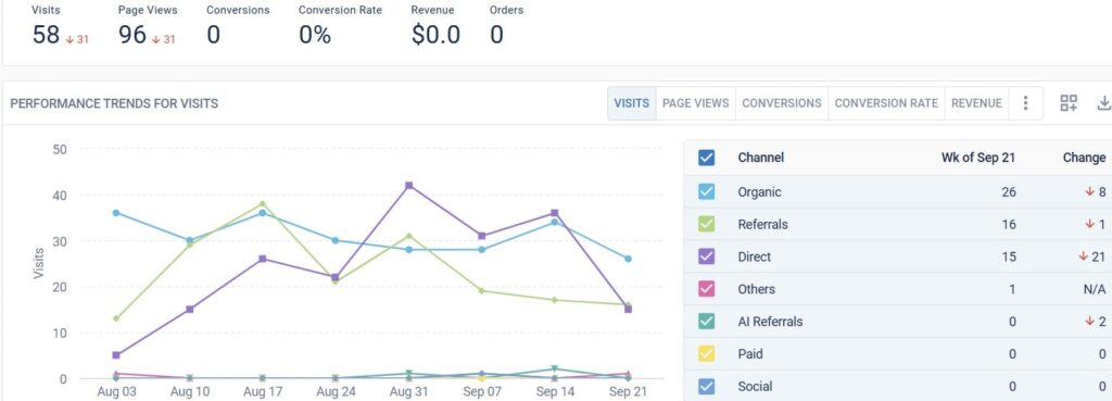 How a Digital Marketing Agency Helps Brands Win with AI Search Optimization